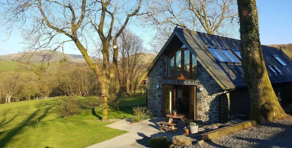 Nant Yr Onnen B&B And Holiday Cottage Tregaron Zewnętrze zdjęcie