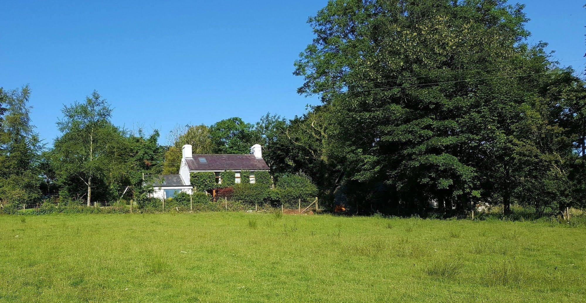 Nant Yr Onnen B&B And Holiday Cottage Tregaron Zewnętrze zdjęcie