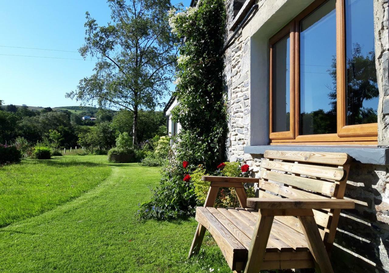 Nant Yr Onnen B&B And Holiday Cottage Tregaron Zewnętrze zdjęcie